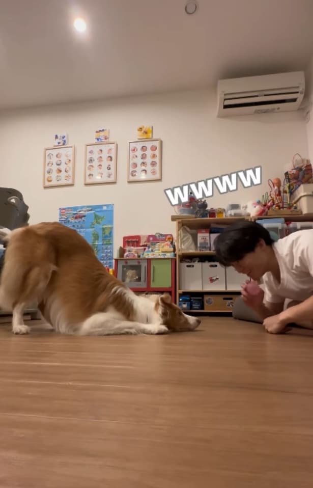 お尻だけ立ってるラスカル君（⇒次へ）