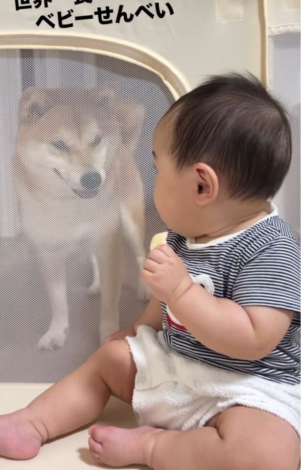 視線を感じて振り返る赤ちゃん▶お出かけ先でのベストショット（⇒次へ）