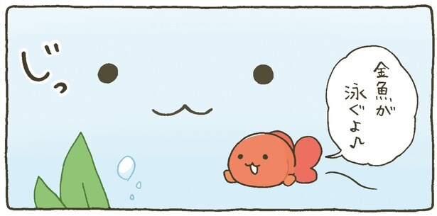 金魚が泳ぐよ♪