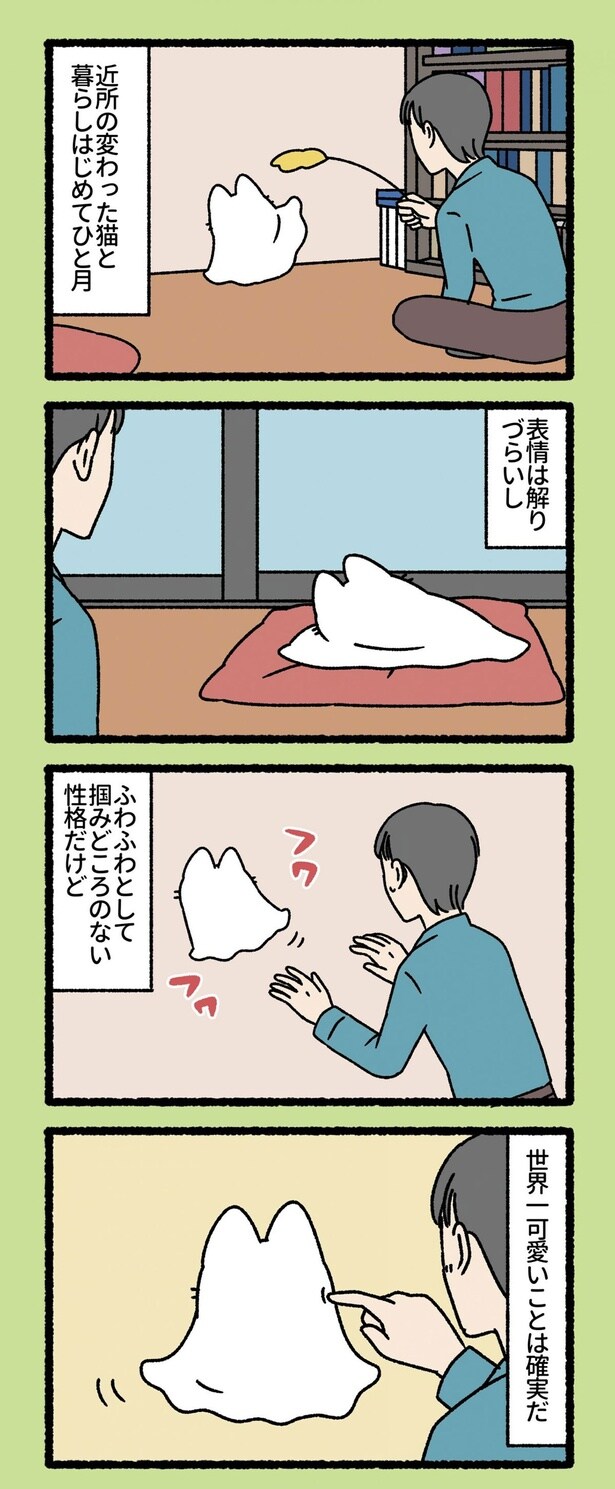 近所の変わった猫と暮らしはじめてひと月