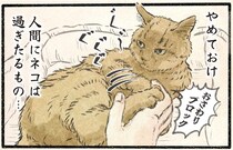 人間にはもったいない存在？機嫌が良い日のネコ様