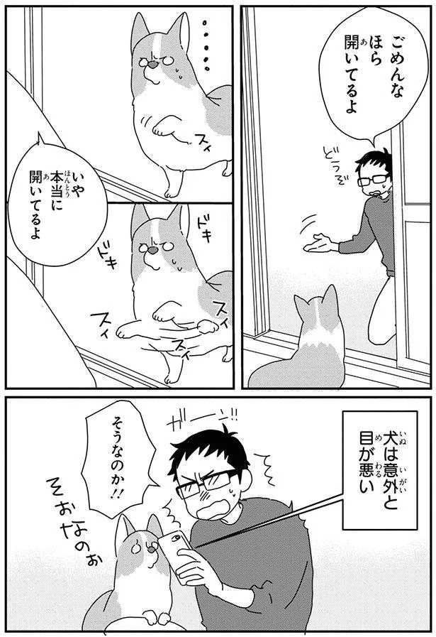犬は意外と目が悪い