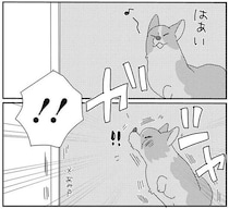 網戸に勢いよくぶつかるコーギー犬。呆然とする姿に「ごめんね」