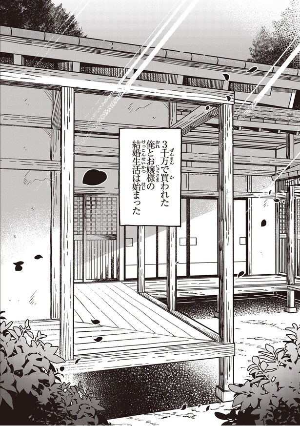 俺とお嬢様の結婚生活は始まった