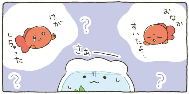 けがしちゃった？