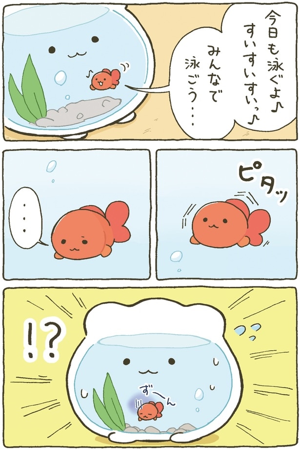 みんなで泳ごう…