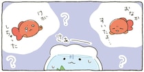 おなかが空いたの？ ケガしたの？ 金魚鉢ちゃんの心配がとまらない！