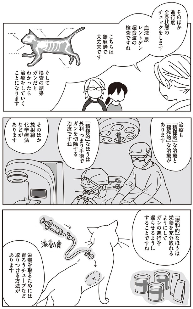 治療も「積極的」な治療と「緩和的」な治療があります