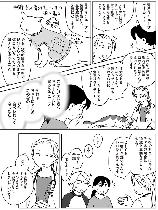 それはちゃーにゃんのためなの？