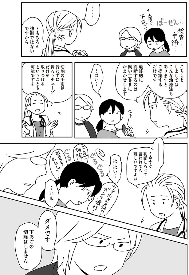 ダメです　下あごの切除はしません