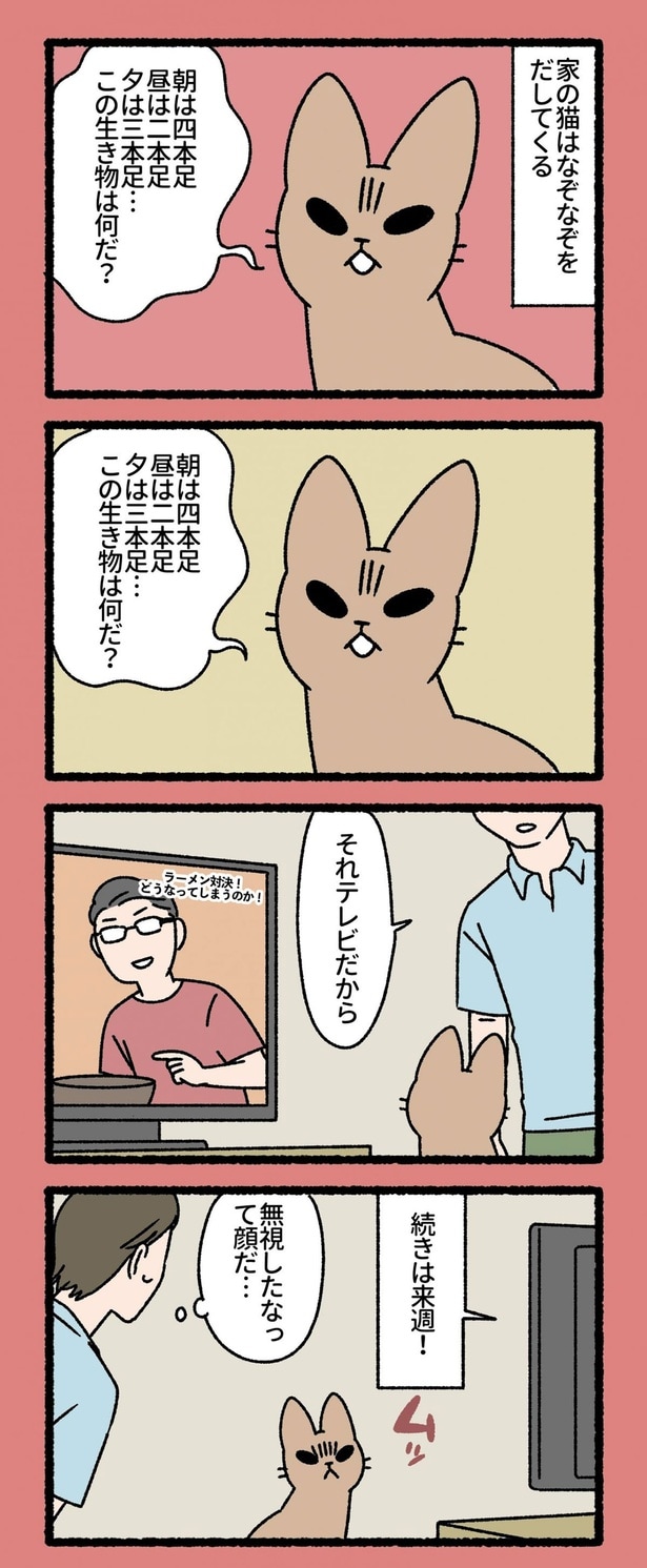 家の猫はなぞなぞをだしてくる