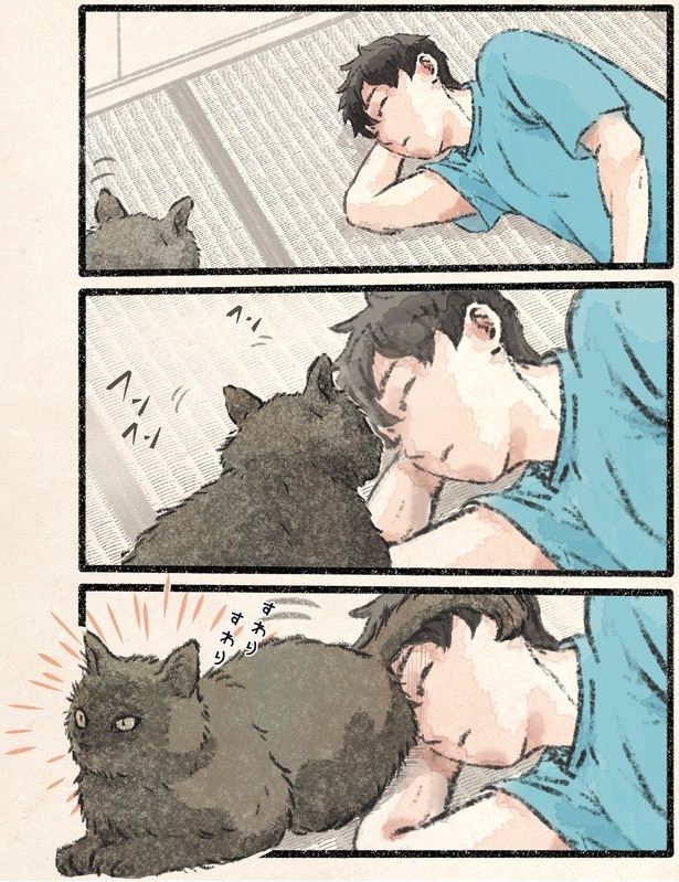 飼い主の顔におしりを向けて