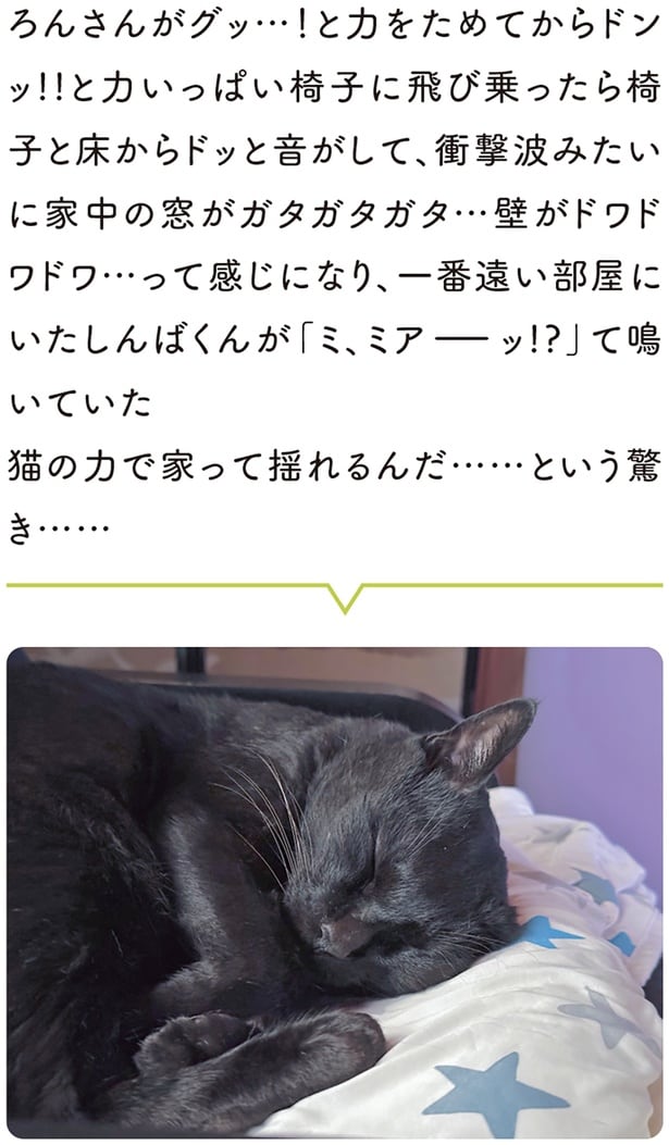 猫の力で家って揺れるんだ……