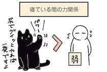 お尻でグイッと押しのける！寝ている間は飼い主よりも力が強い黒猫ろん