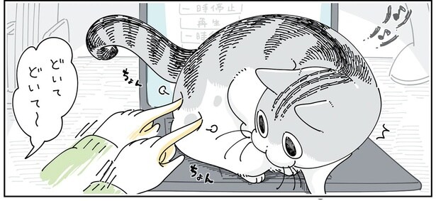 また何か押しちゃってる？ パソコンの上にいる猫をどかすための様々なやりかた