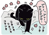 ゴロゴロ、コネコネ。飼い主の「おはよう」に大喜びの黒猫ろん