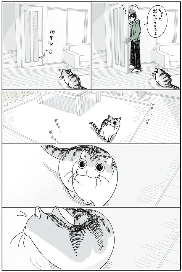 飼い主が出かけると