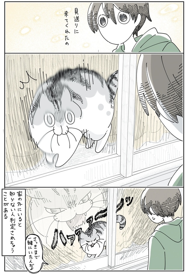 さっきまで一緒にいたのに