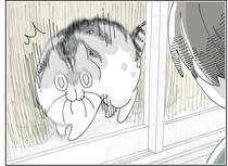 家の外に出ただけで!? 見送りに来てくれた猫の驚くべき反応