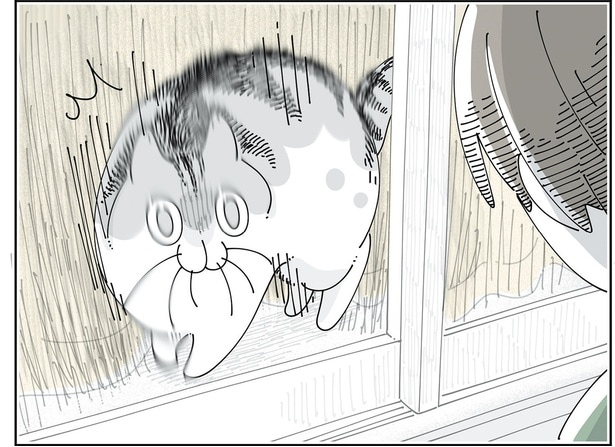 家の外に出ただけで!? 見送りに来てくれた猫の驚くべき反応