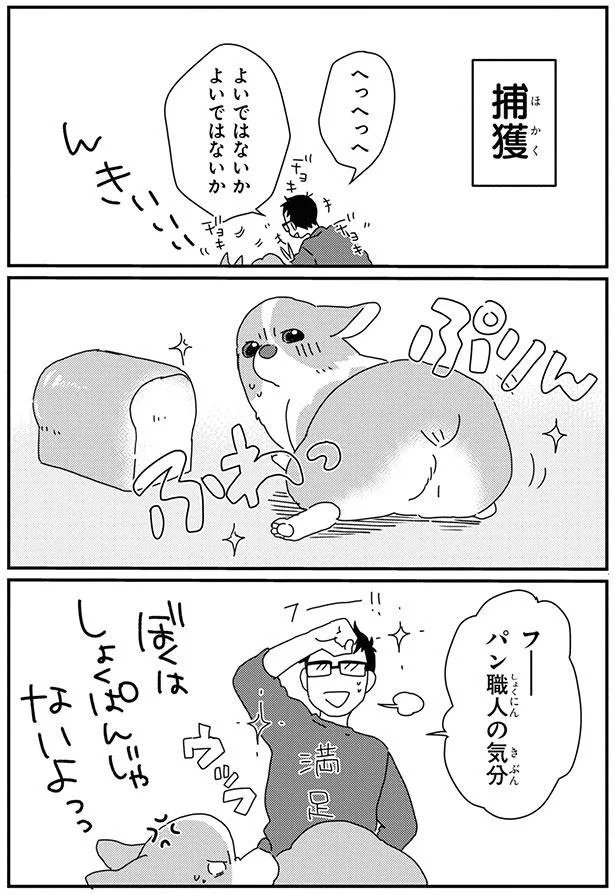 よいではないか よいではないか