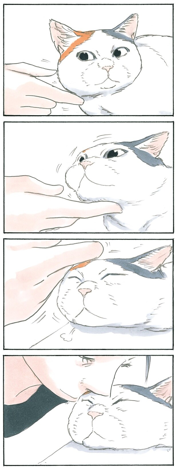 でこチューまでの流れ