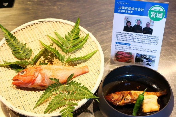 大興水産の「冷メンメラウンドIQF」。脂のりのよいキンキを急速冷凍することで、鮮度と旨味をしっかりキープ。