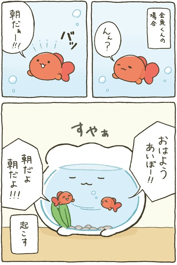 金魚くんの場合