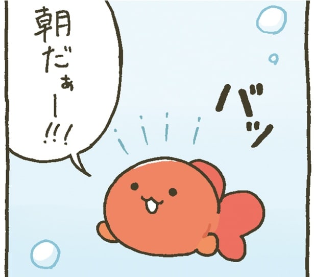 目覚めた後はどんな行動をする? 金魚鉢ちゃんと金魚くんの朝