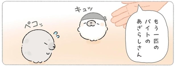 もう一匹のバイトのあざらしさん