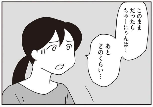 飼い猫のガン治療に苦渋の決断。そして告げられた余命は…/世界一幸せな飼い主にしてくれた猫(11)