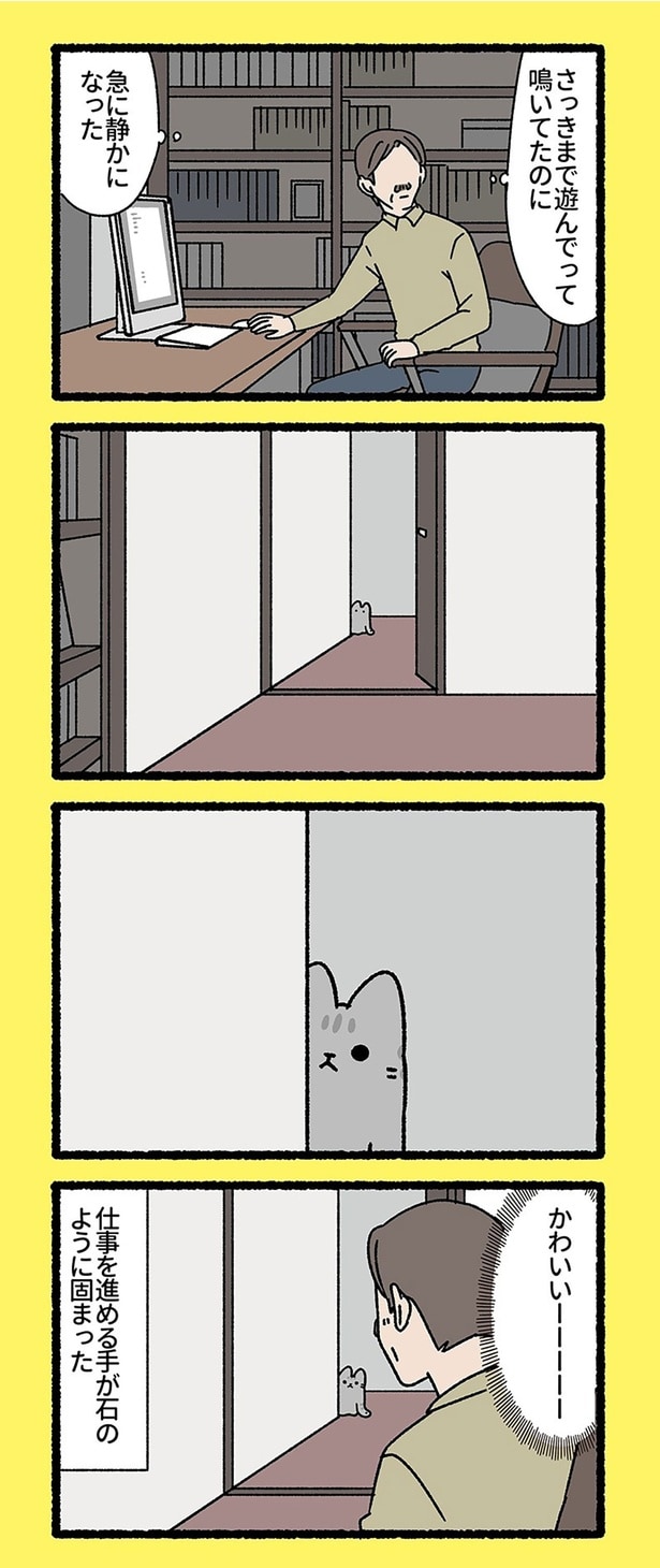 かわいいーーーーー