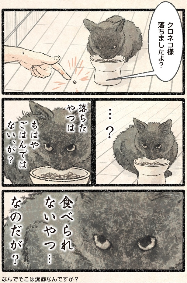 クロネコ様落ちましたよ？