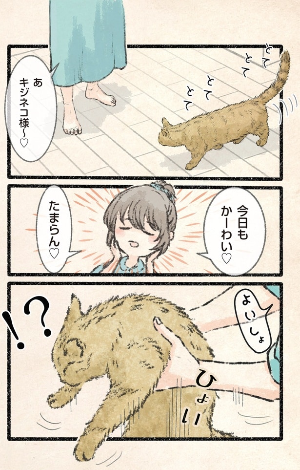 今日もかーわい