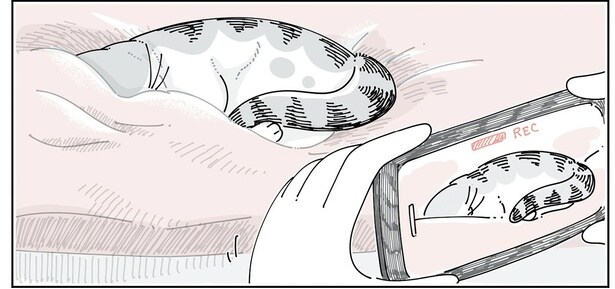 そっと近づいて…