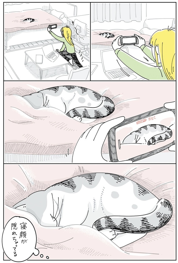 寝顔が隠れちゃってる