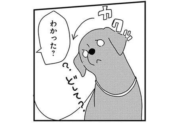 カクンと首をかしげる仕草が好き!うちの子にもやってほしくて