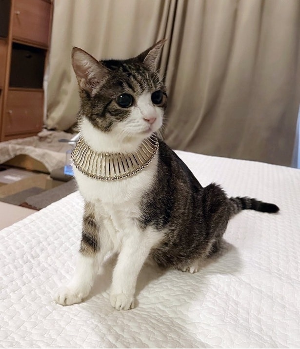 一層神々しさを醸し出しています。思わず拝みたくなっちゃう！（笑）▶太陽の光に当たると（⇒次へ）