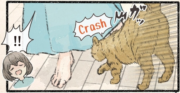 ぶつかったネコは…