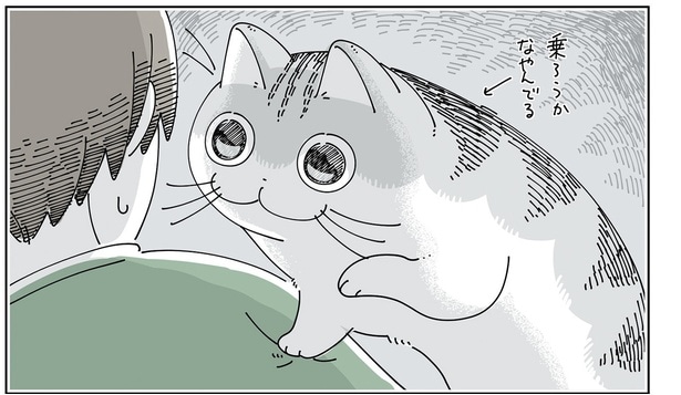 飼い主の肩に乗ろうとして悩む猫。そわそわしてるのはこっちも同じです