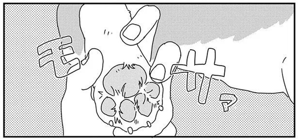 部屋の中ですべってる？ワンコの足裏をチェックしてみると