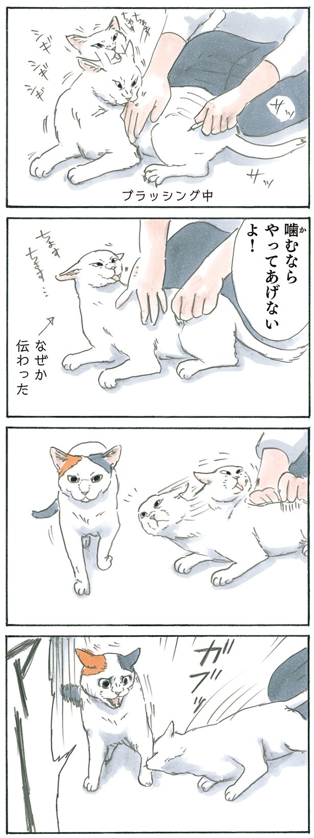 噛むしかなかった