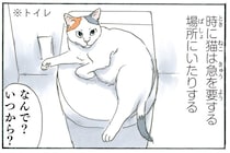 いつからいたの？ 思ってもみないところでくつろぐ猫が面白い