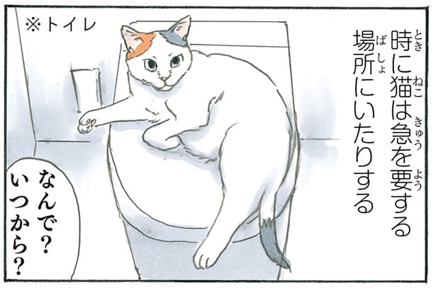 いつからいたの？ 思ってもみないところでくつろぐ猫が面白い