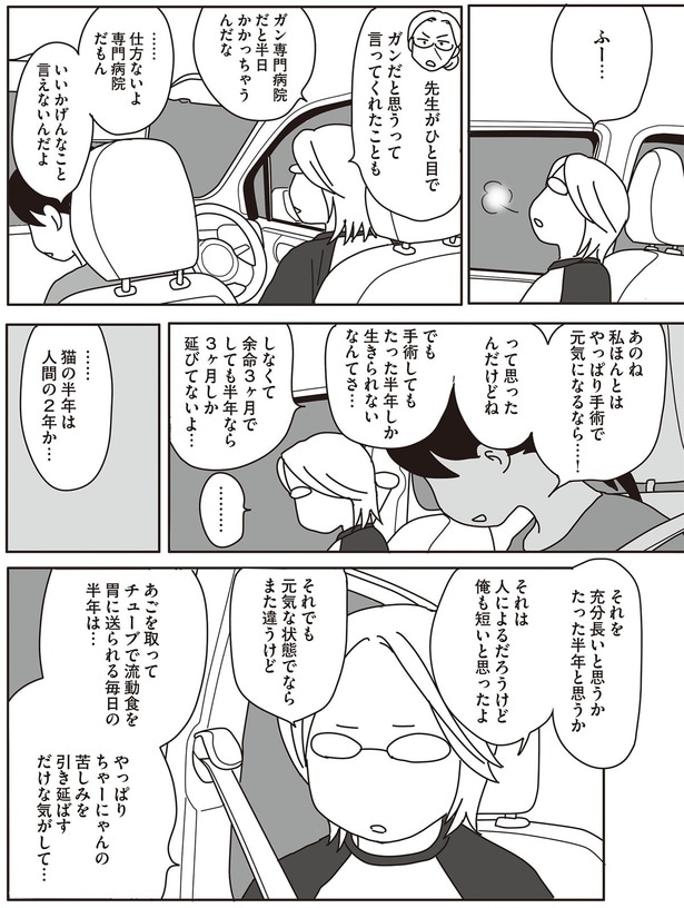 …猫の半年は人間の2年か…