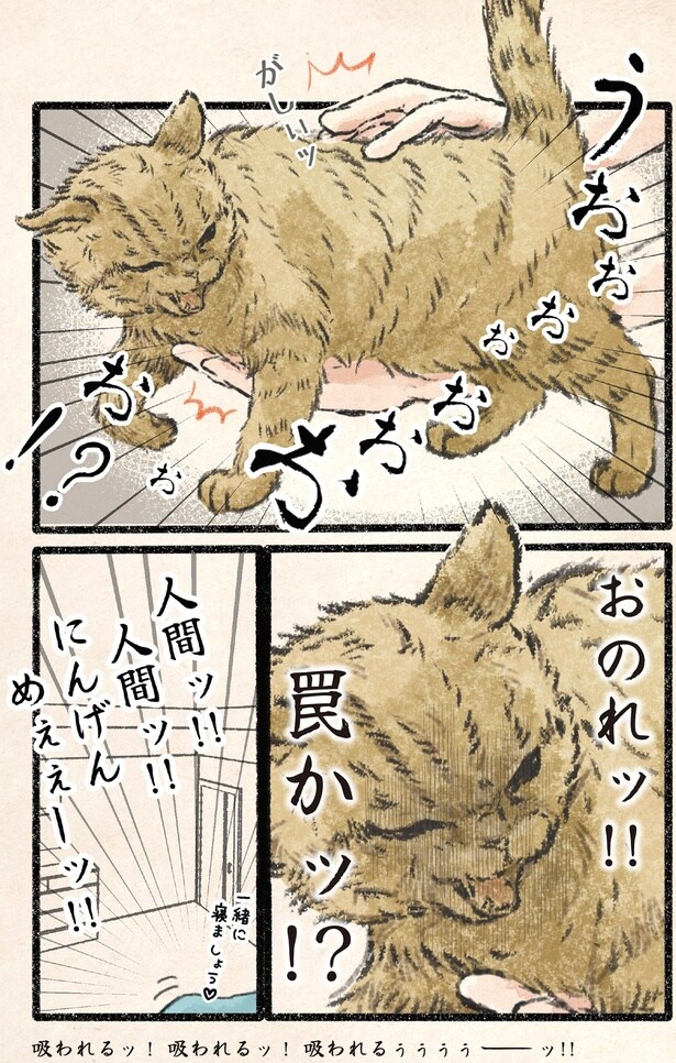 おのれッ！！罠かッ！？