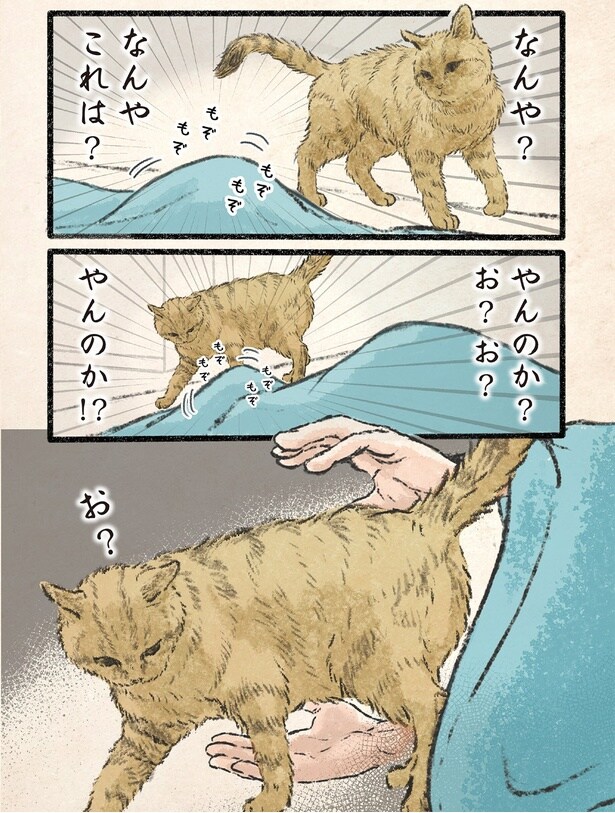 やんのか？お？お？