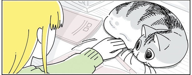 手を差し込んでみると…