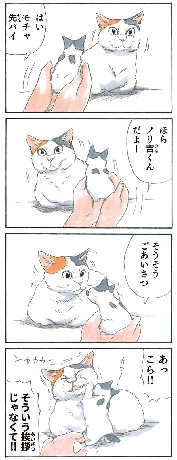 ごあいさつ