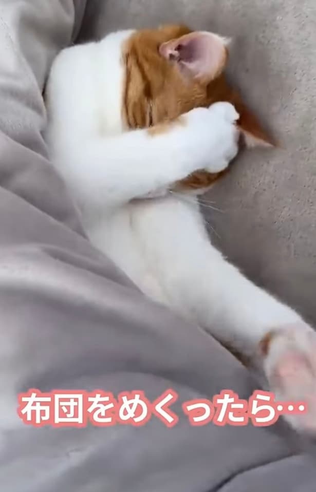 焦って顔を隠す▶眩しいの？（⇒次へ）